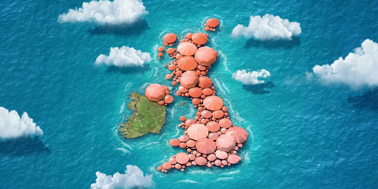 Business decision makers