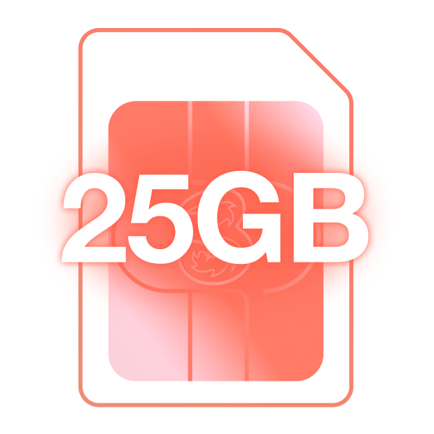 25GB SIM