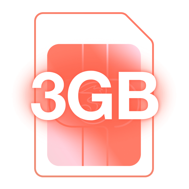 3GB SIM