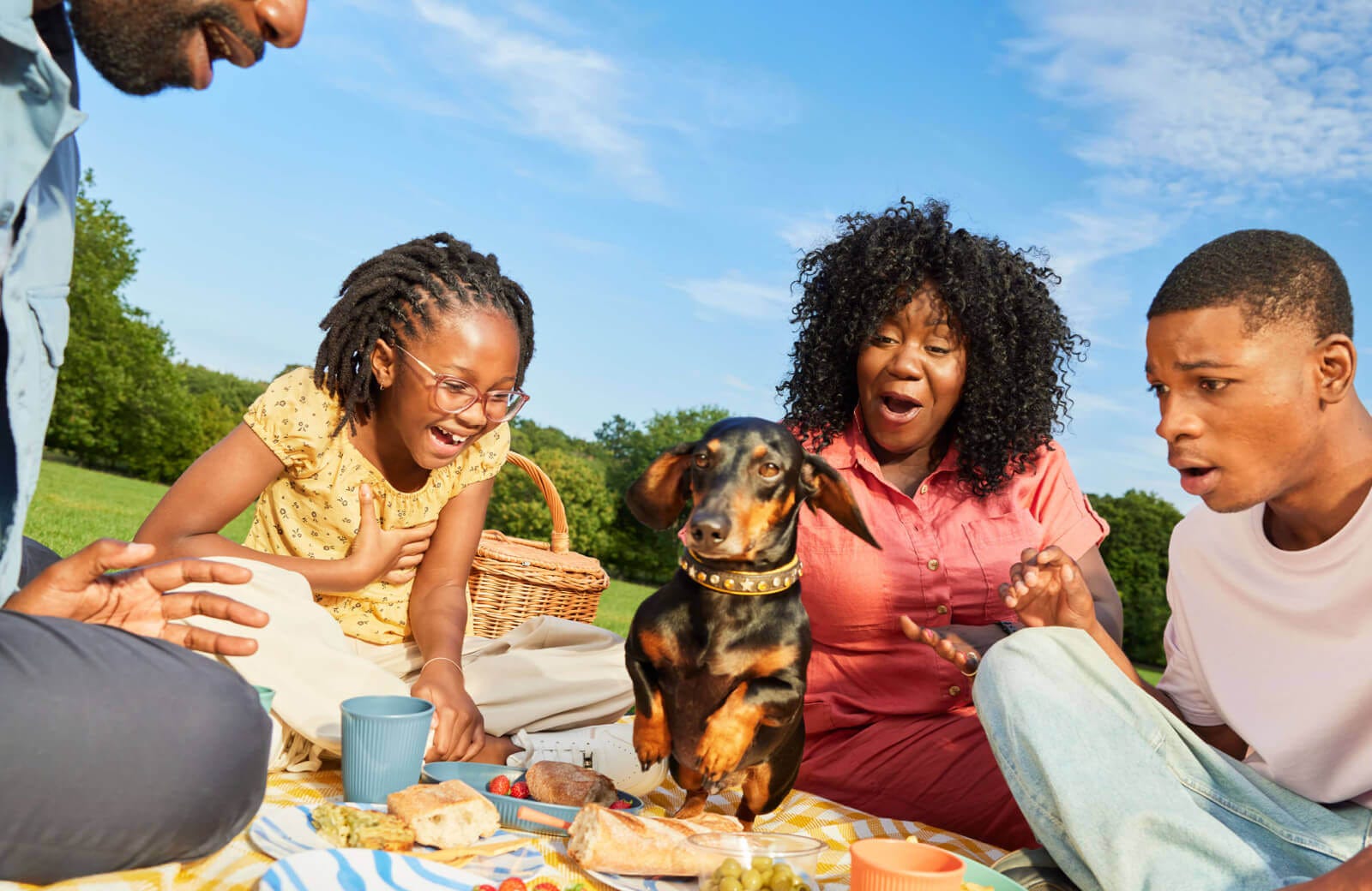 Family picnic with dog jumping over food