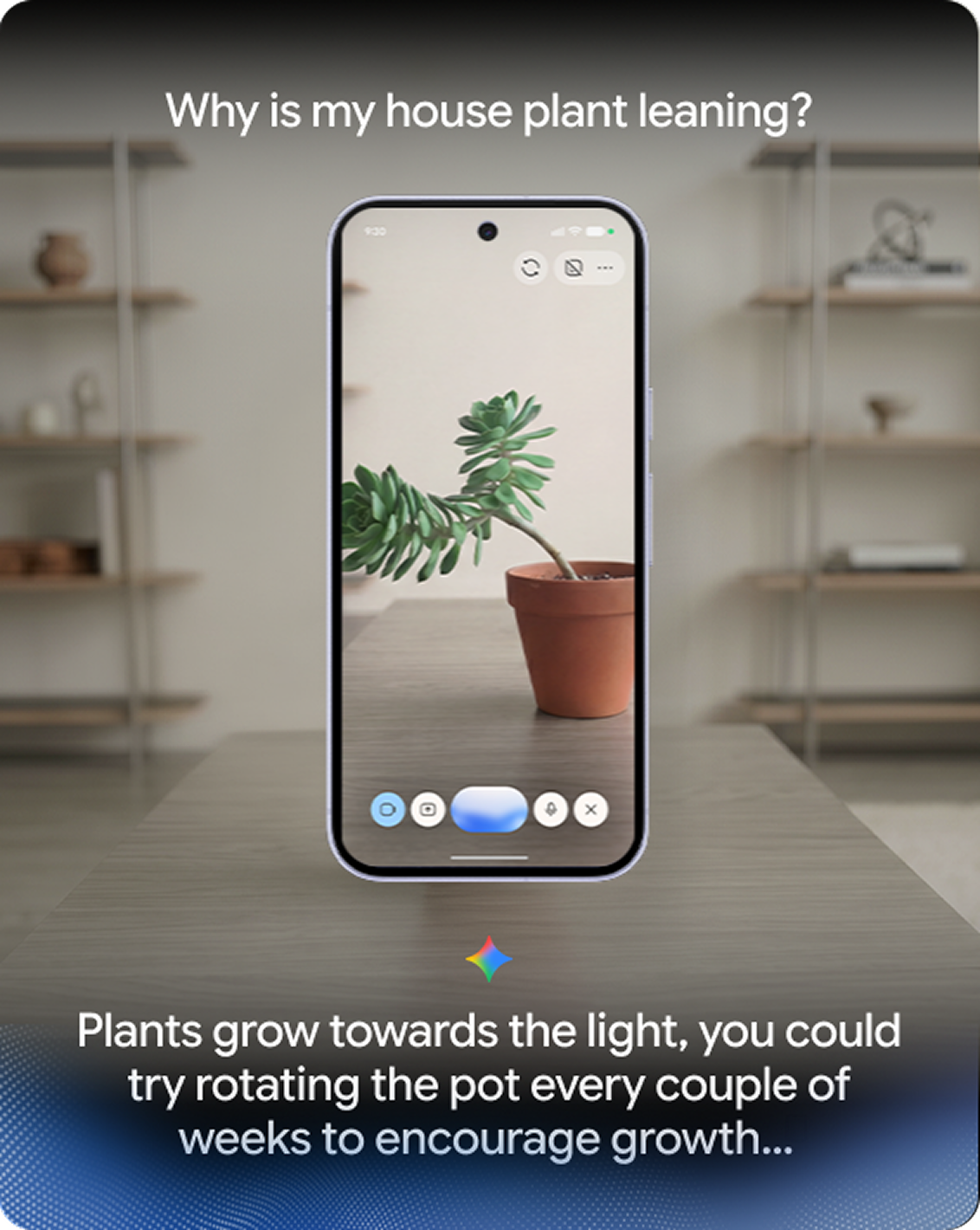 The Google Pixel 11 device showing a house plant on screen.
