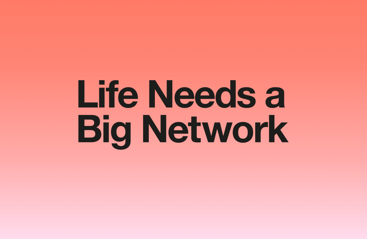 Discover our big network